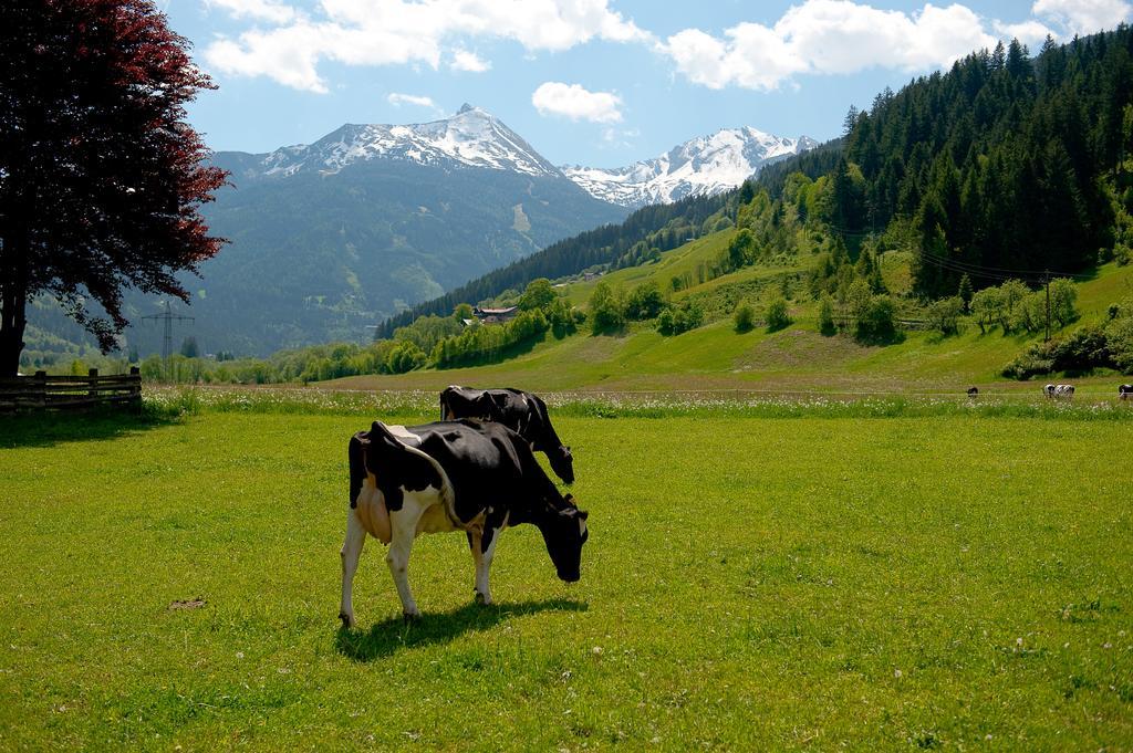 Вілла Zittrauerhof - Urlaub Am Bauernhof Gastein Бад-Гофгаштайн Екстер'єр фото