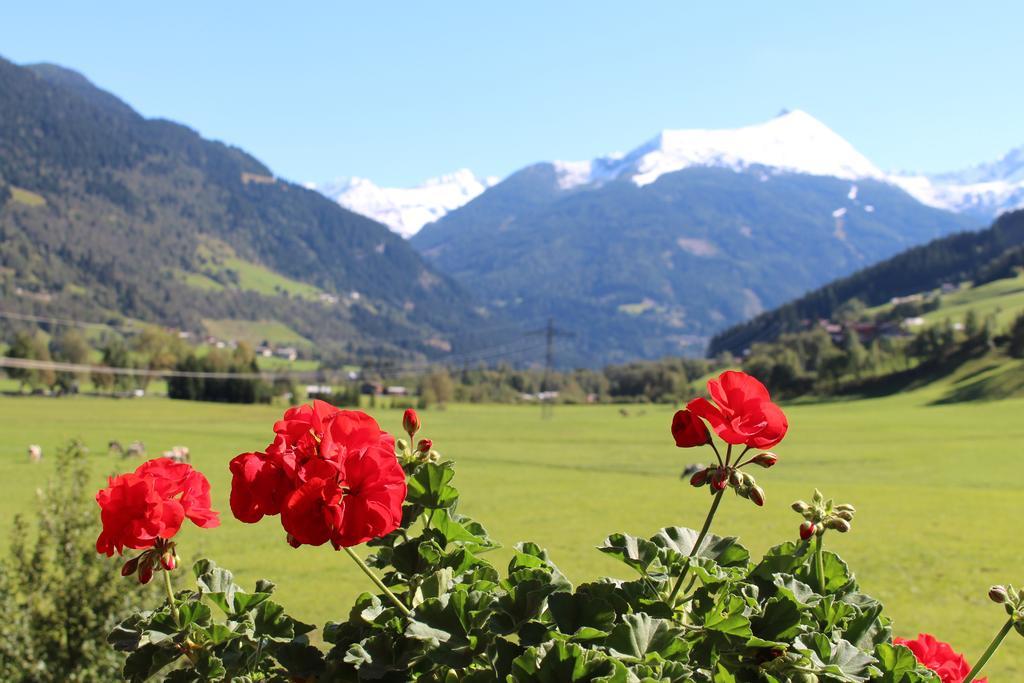Вілла Zittrauerhof - Urlaub Am Bauernhof Gastein Бад-Гофгаштайн Екстер'єр фото