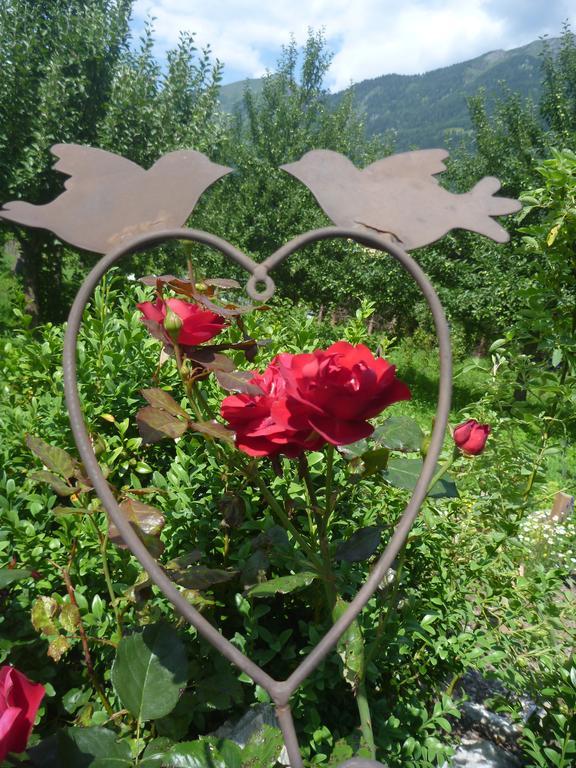 Вілла Zittrauerhof - Urlaub Am Bauernhof Gastein Бад-Гофгаштайн Екстер'єр фото